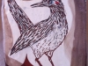 roadrunner